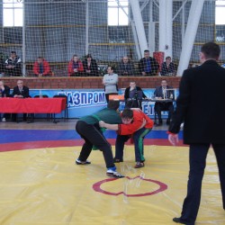 В Свердловской области завершилось первенство России по борьбе корэш