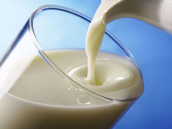 Лучшее молоко в регионе производят в Каменске-Уральском