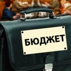 На общественных слушаниях утвердили бюджет Екатеринбурга