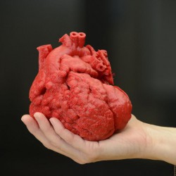 В Екатеринбурге разработали универсальное 3D-сердце
