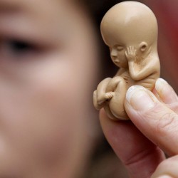 В Свердловской области сократилось число абортов