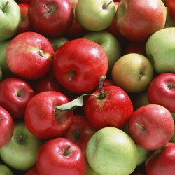 В Свердловской области уничтожили 150 кг яблок в рамках борьбы с санкционными продуктами